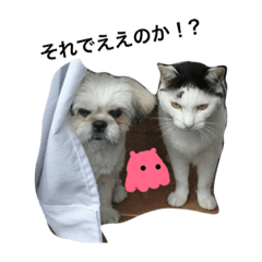 [LINEスタンプ] くるみ時々うさぎ