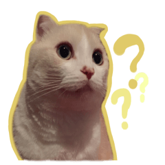 [LINEスタンプ] もるちゃ