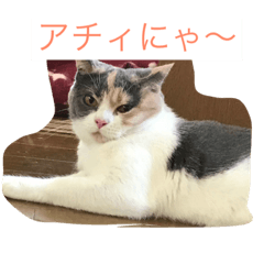[LINEスタンプ] 花音と花鈴
