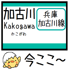 [LINEスタンプ] 兵庫 加古川線 気軽に今この駅！からまる