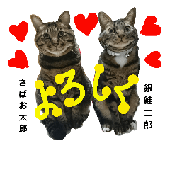 [LINEスタンプ] みかんかぶり猫 さばお太郎と銀鮭二郎