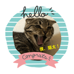 [LINEスタンプ] 猫太のつぶやき③