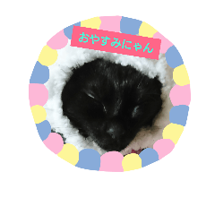 [LINEスタンプ] 黒子猫のチョコちゃんです