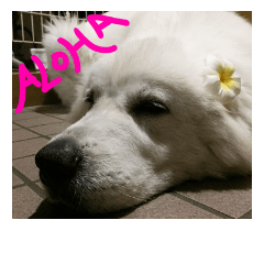 [LINEスタンプ] べあ①