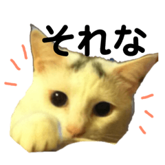 [LINEスタンプ] あもひふてん2