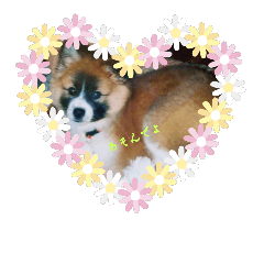 [LINEスタンプ] 桜桃椿