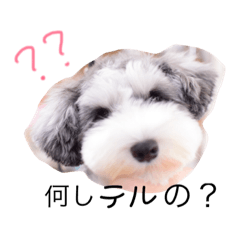 [LINEスタンプ] てるてるてるミー