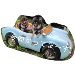 [LINEスタンプ] ランココネロ日常編