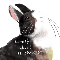 [LINEスタンプ] Lovely rabbit sticker！5