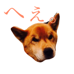 [LINEスタンプ] じょん太