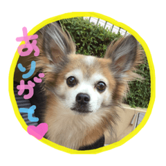 [LINEスタンプ] ラムボブ