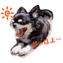 [LINEスタンプ] ワンコダフル