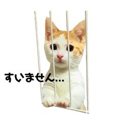 [LINEスタンプ] まさおくんのハッピーライフ