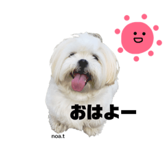 [LINEスタンプ] ノアさんとお散歩