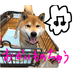 [LINEスタンプ] こたくん②