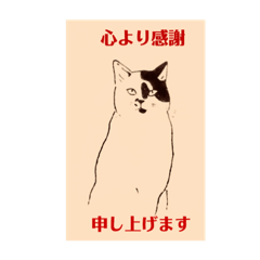 [LINEスタンプ] 千代ちゃんスタンプ