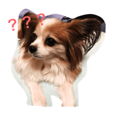 [LINEスタンプ] 竹田家の子供たち2