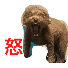 [LINEスタンプ] どうぶつがすき