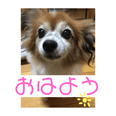 [LINEスタンプ] こころ日和第2弾