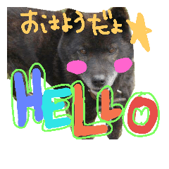 [LINEスタンプ] クロと海と