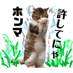 [LINEスタンプ] 猫それ言う！？