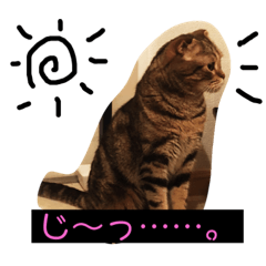 [LINEスタンプ] つつじくんスタンプ
