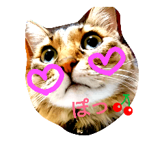 [LINEスタンプ] ななちょこみるく