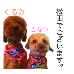 [LINEスタンプ] くるこな。
