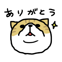 [LINEスタンプ] 下から見た猫