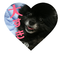 [LINEスタンプ] 黒ポメめいちん
