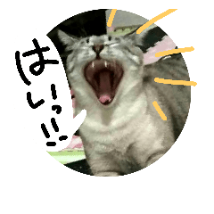 [LINEスタンプ] くろうにはなのスタンプ