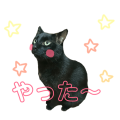 [LINEスタンプ] ゆずぽんの日常スタンプ