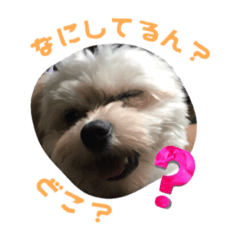 [LINEスタンプ] まろろん