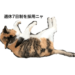 [LINEスタンプ] 動物スタンプ其の一