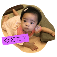 [LINEスタンプ] わかにゃスタンプ