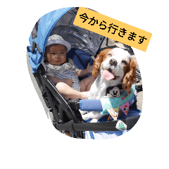 [LINEスタンプ] くまの日常②