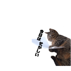 [LINEスタンプ] なーたろの1日