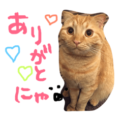 [LINEスタンプ] まろの毎日♡withパンちゃん
