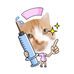 [LINEスタンプ] コスプレにゃんこ6
