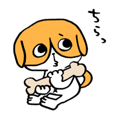 [LINEスタンプ] 犬のハチワレ