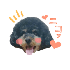 [LINEスタンプ] もへじstamp❁︎