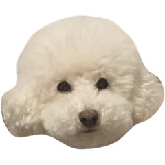 [LINEスタンプ] ぽべ
