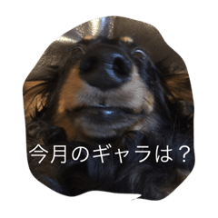 [LINEスタンプ] ももまろ
