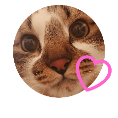 [LINEスタンプ] うちのたま要りませんか？(with琥珀)