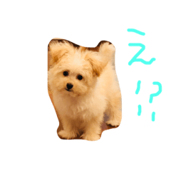 [LINEスタンプ] そぼろスタンプ