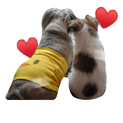 [LINEスタンプ] うちの愛犬たち