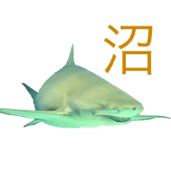 [LINEスタンプ] 性格の悪いサメ君スタンプ