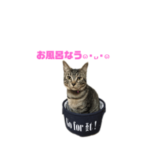 [LINEスタンプ] ゆずさま(恋人に送る言葉)