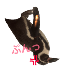 [LINEスタンプ] わいわい動物園