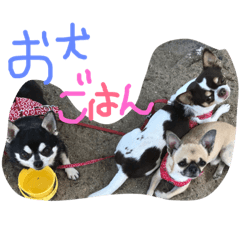[LINEスタンプ] 稜也2